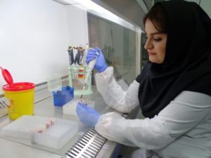 A researcher working on samples at the Digestive Diseases Research Institute of Tehran, Iran.
