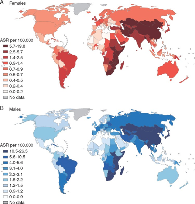 Cases of oesophageal squamous cell carcinoma for women (top) and men (below). Source: GLOBOCAN 2012.